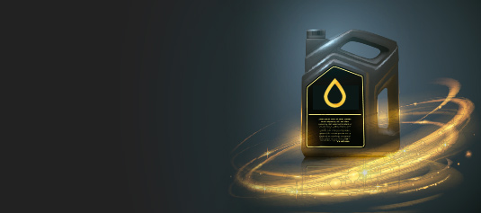 Cms-Banner1.jpg